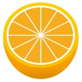 オレンジ 1 イラスト